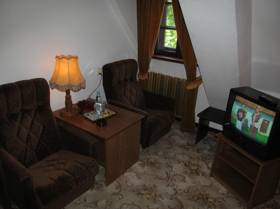 Hotel Zamek主图