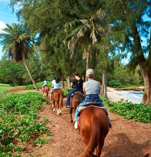 Turtle Bay Resort Horse Riding-卡胡库必去景点