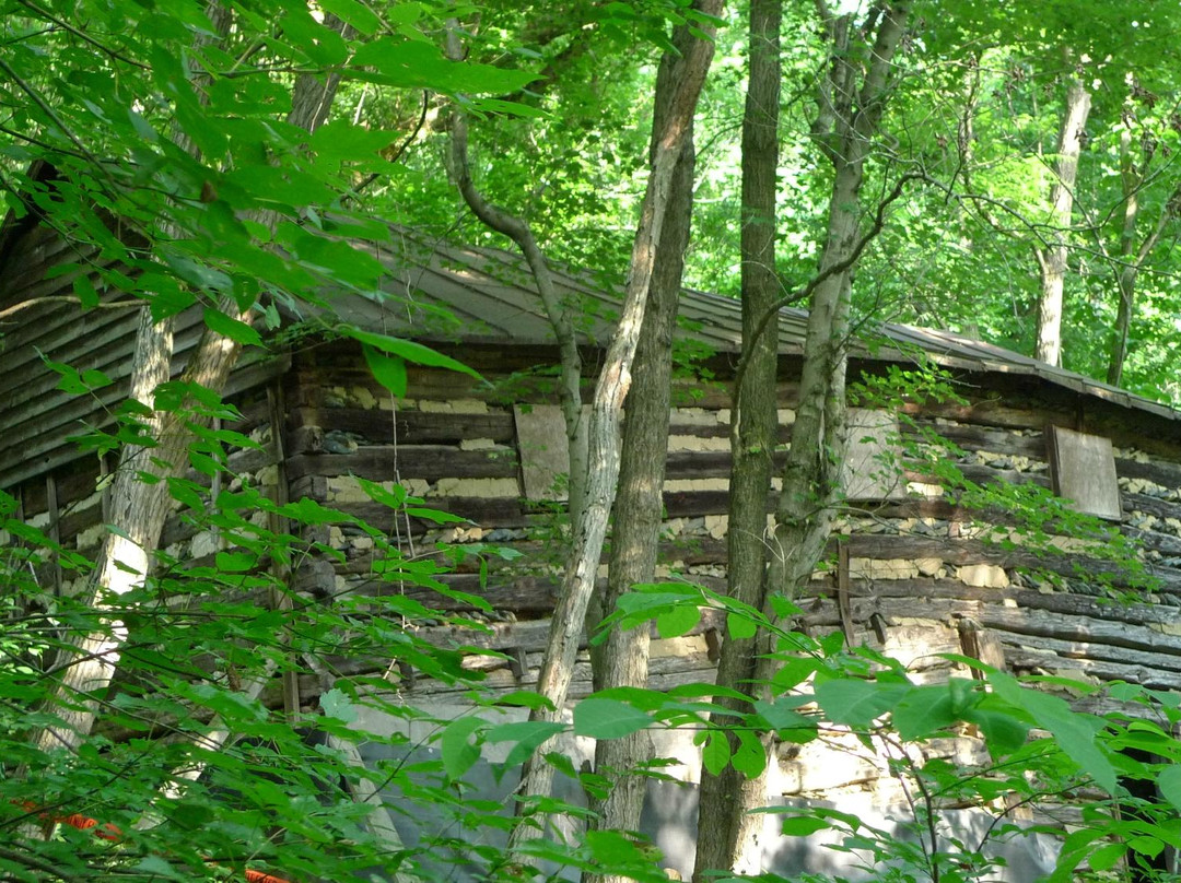 Blue Ridge Center for Environmental Stewardship景点图片