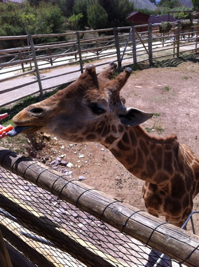 Terra Natura Murcia-穆尔西亚必去景点