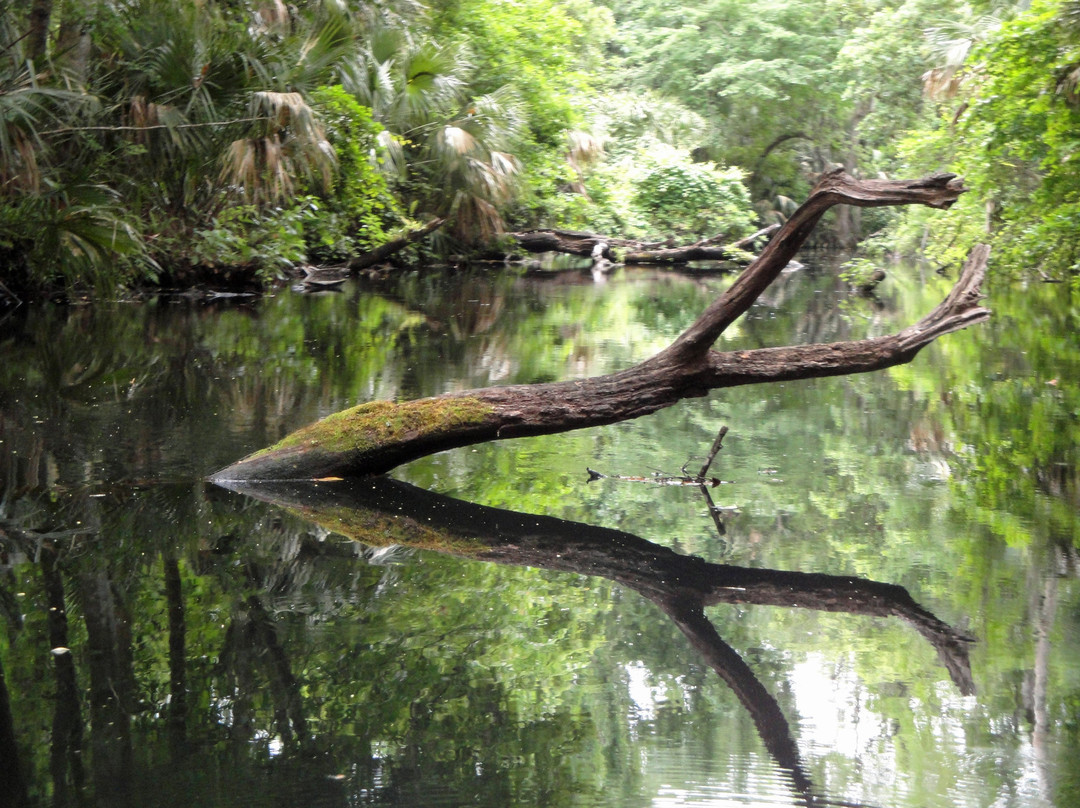 King's Landing-Apopka必去景点