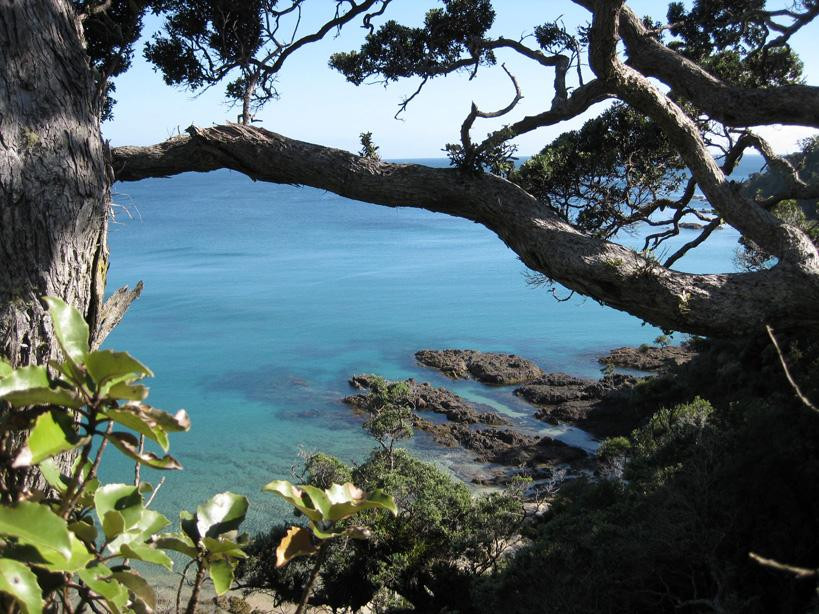 Whale Bay-Matapouri必去景点