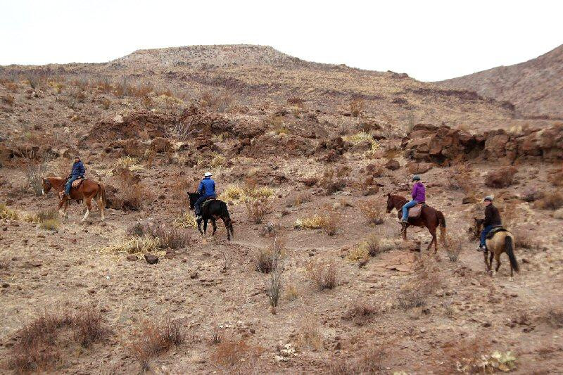 Big Bend & Lajitas Stables-Terlingua必去景点