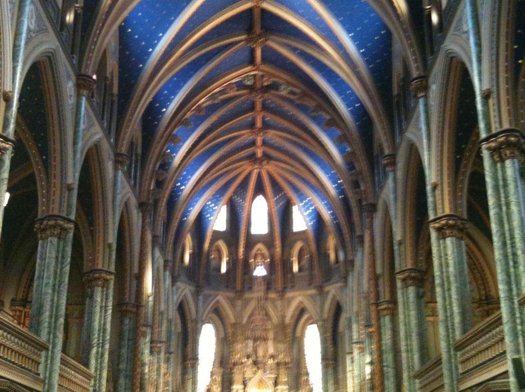 Notre Dame Cathedral Basilica景点图片