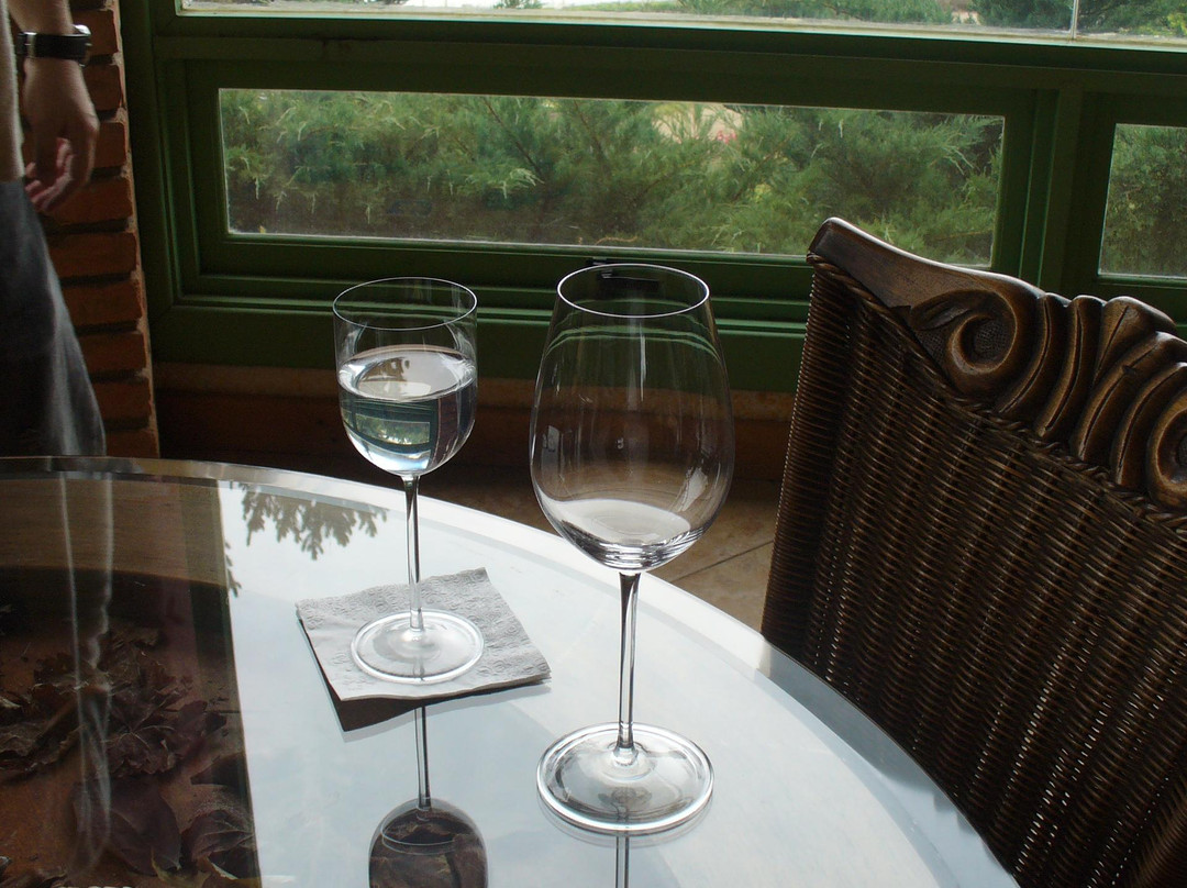 Villa Francioni-Sao Joaquim必去景点