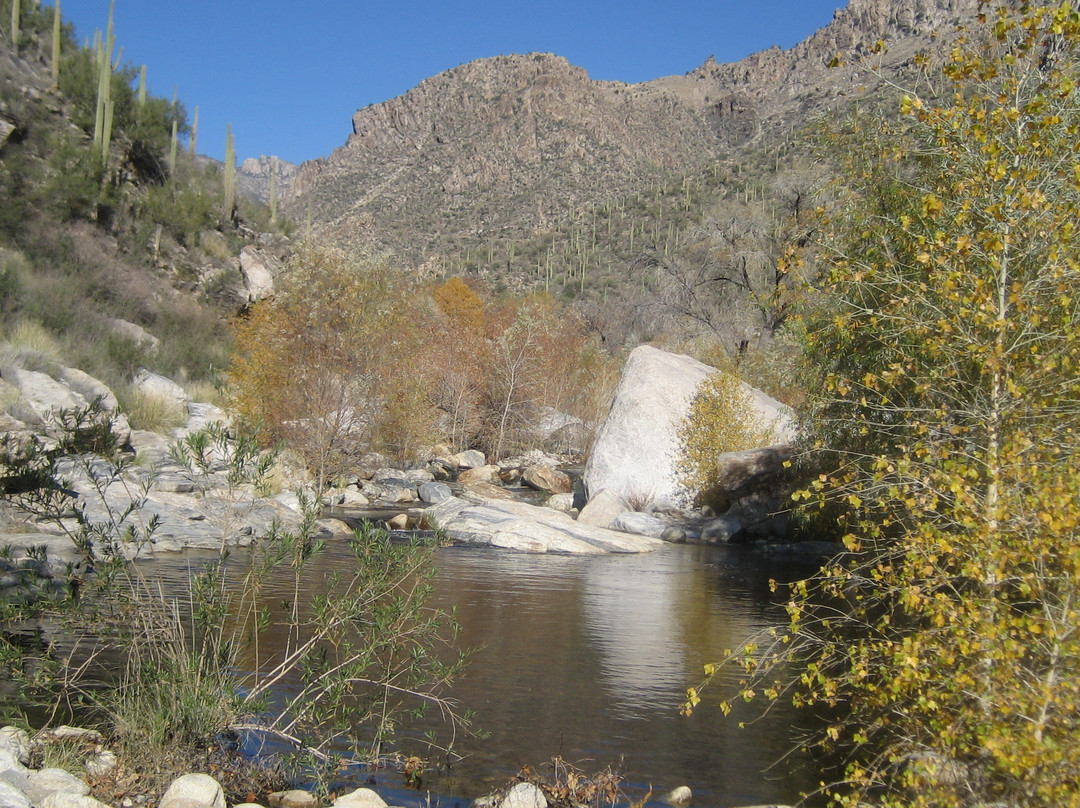 萨比诺峡谷-图森必去景点