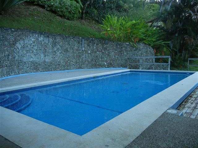 Albergue Alma de Hatillo-泳池