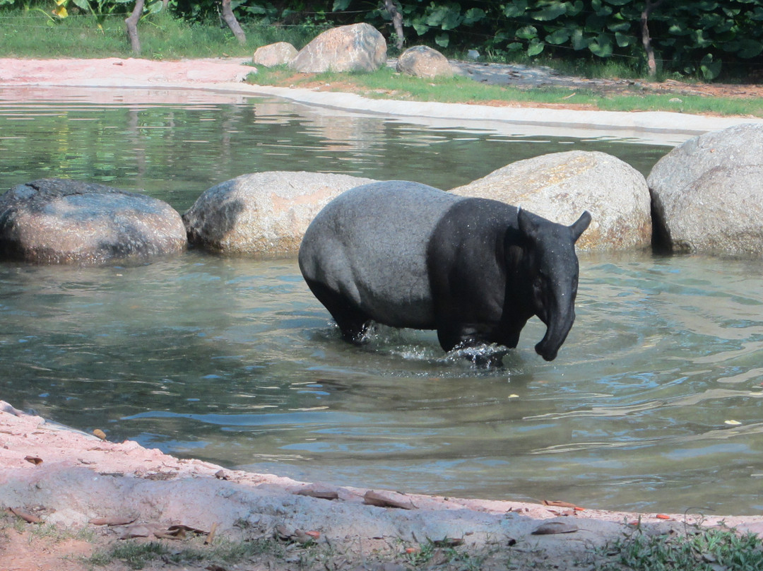 长隆旅游度假区-广州市必去景点