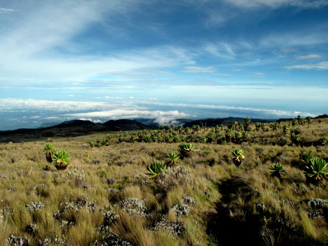 Mt. Elgon National Park-Eastern Region必去景点