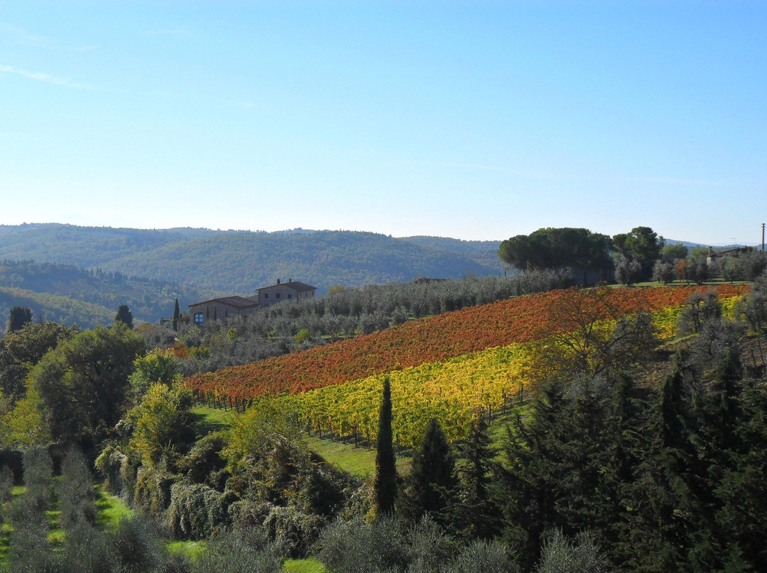 Podere L'Aja-拉达因基安蒂必去景点