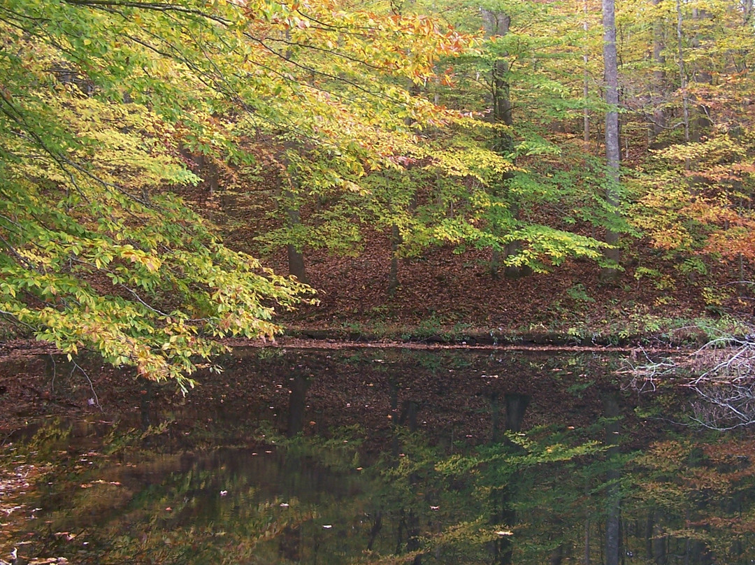 Breaks Interstate Park-Breaks必去景点