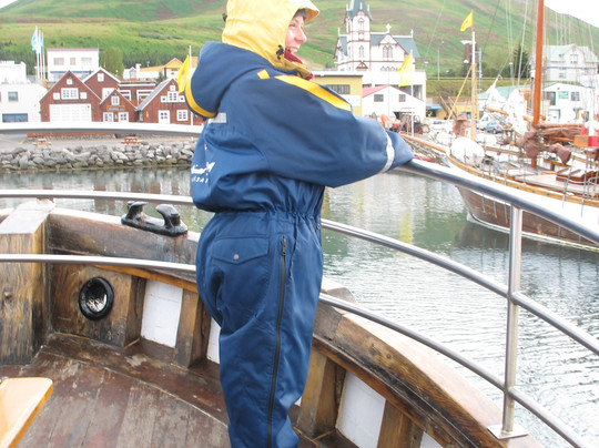 北方航行——胡萨维克观鲸-胡萨维克必去景点