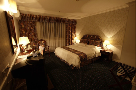 成都新南门橡树林酒店(四川大学望江校区店)主图