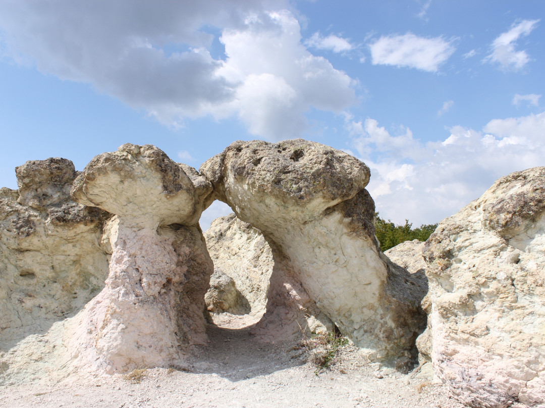 The Stone Mushrooms景点图片