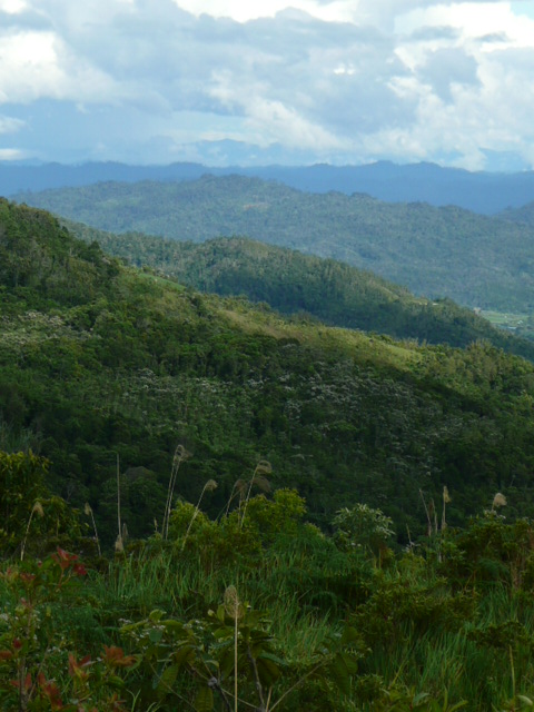 Aristo Kinabalu Resort @ Kundasang-客卧