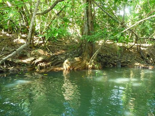 多米尼克旅游攻略图片