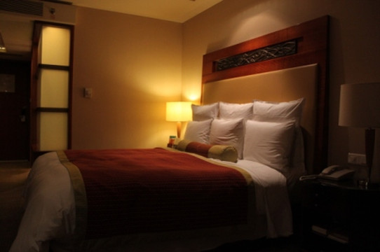 武汉光明万丽酒店主图