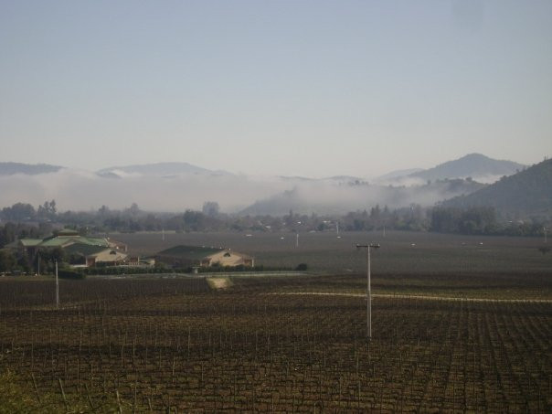 Casablanca Valley-卡萨布兰卡必去景点