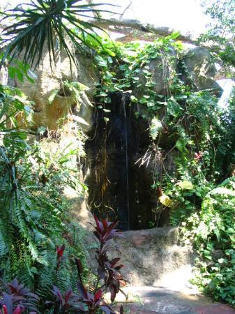 Sunken Gardens-圣彼德斯堡必去景点