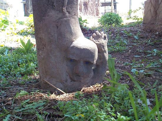 Garden of Eden景点图片