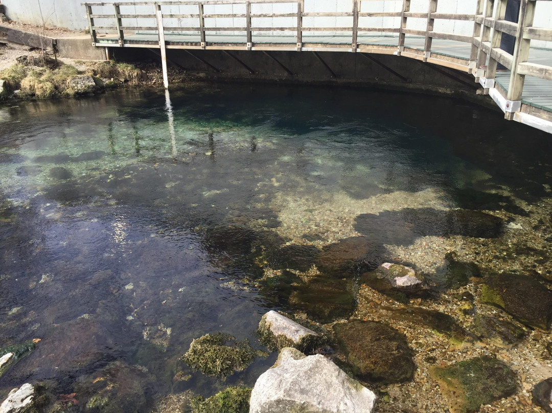 Roubidoux Creek & Spring-Waynesville必去景点