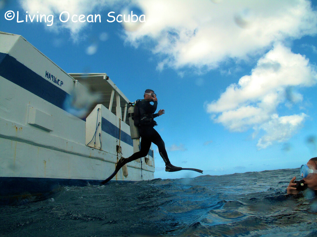 Living Ocean Tours-火奴鲁鲁必去景点