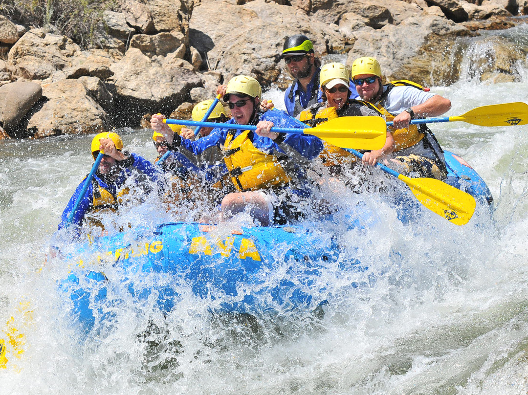 Ava Rafting & Zipline-布埃纳维斯塔必去景点