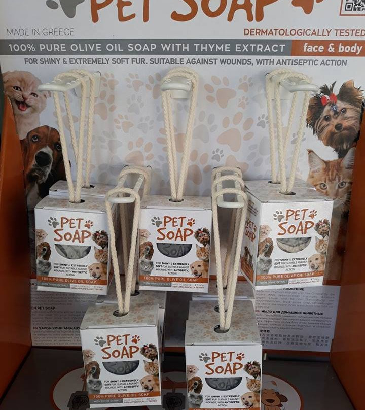 Olive Tree-Neos Marmaras必去景点