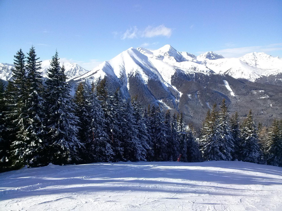 Johnsbach酒店住宿-Hotel Moscher