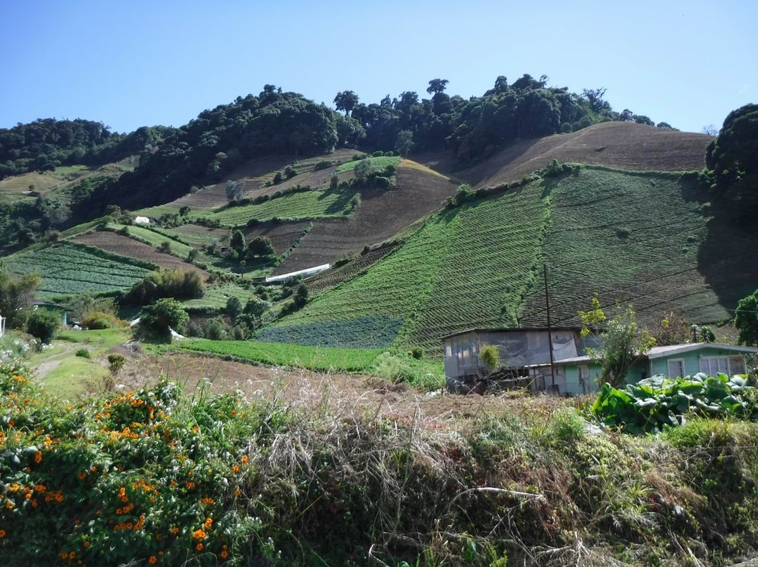 Cerro Azul景点图片