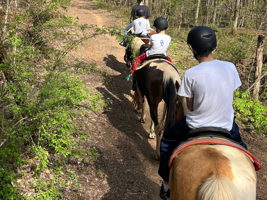 Blue Ridge Mountain Trail Rides At Hells Hollow景点图片