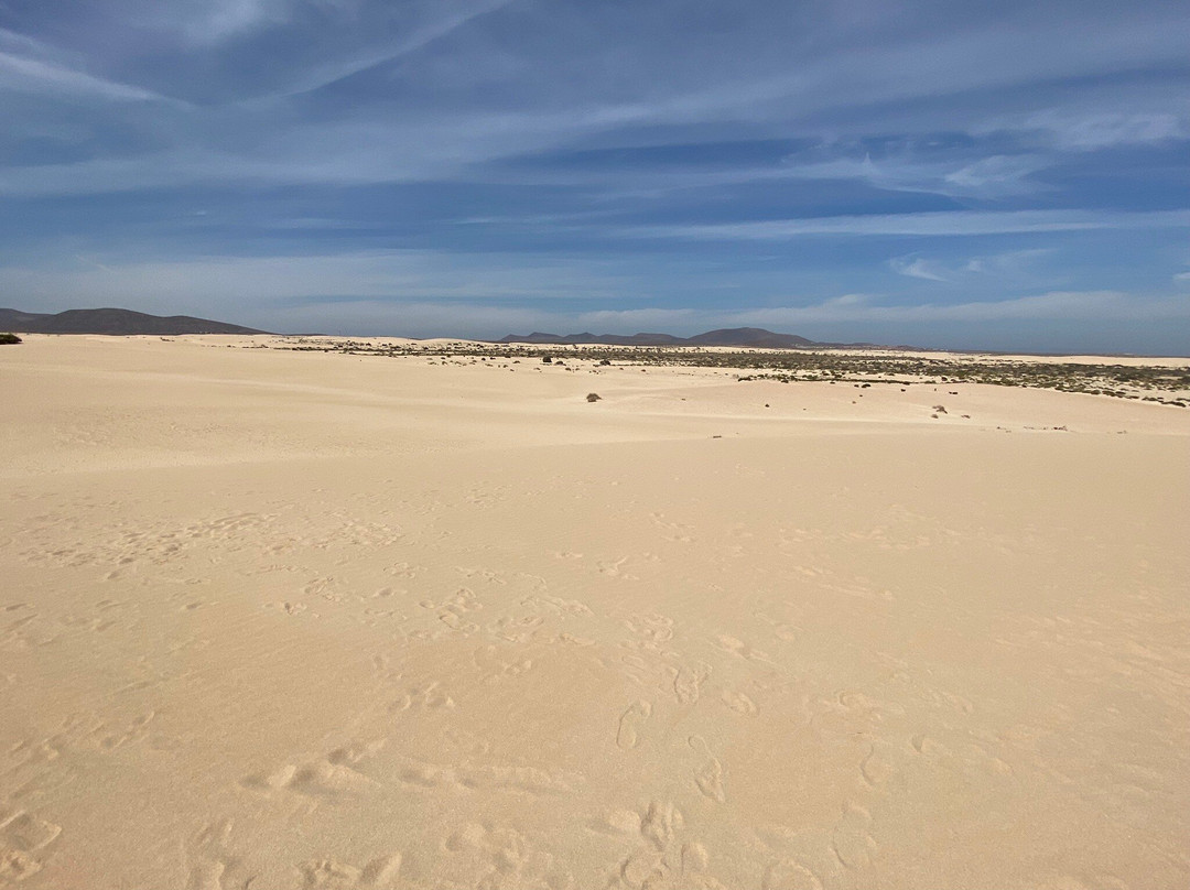 Dunas De Corrallejo景点图片