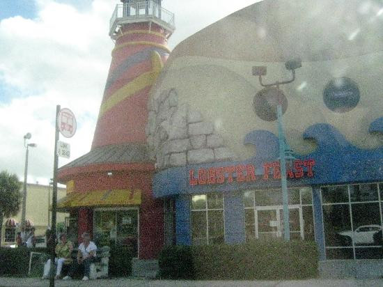 国际大道-奥兰多必去景点