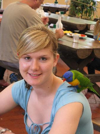 Wildlife Habitat Port Douglas-道格拉斯港必去景点