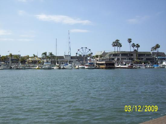 Newport Landing Whale Watching-纽波特海滩必去景点