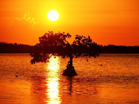 Long Key State Park-Layton必去景点