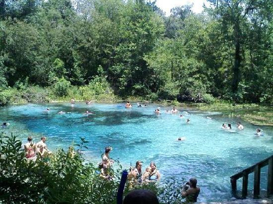 Ichetucknee Springs State Park景点图片