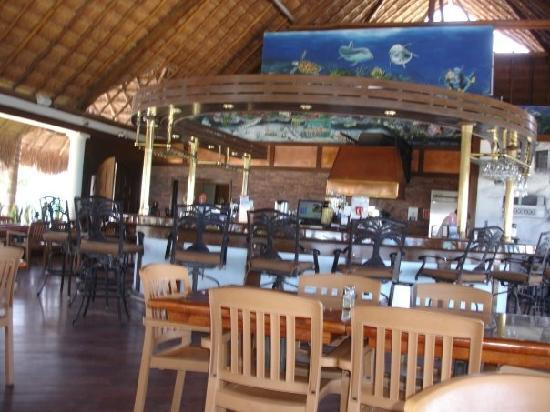 The Money Bar Beach Club-考祖梅必去景点