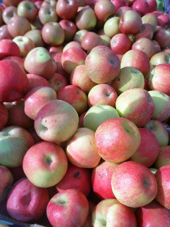 Oregon City Farmers Market-Oregon City必去景点
