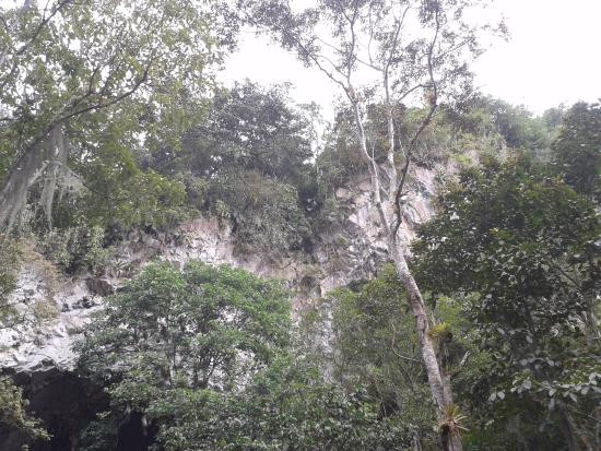 Cave of Guacharo景点图片