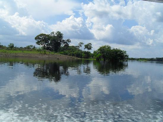 Amazon Brasil Jungle Tours-玛瑙斯必去景点