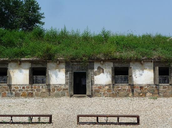 Gallery 2