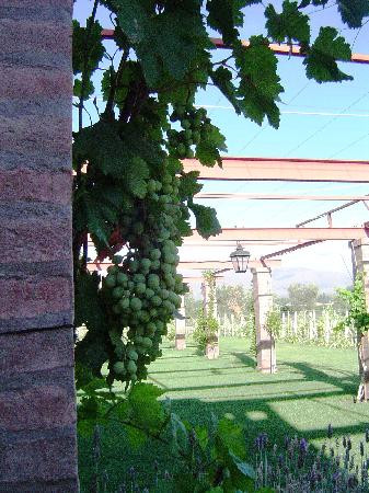 Catena Zapata-阿格雷洛必去景点