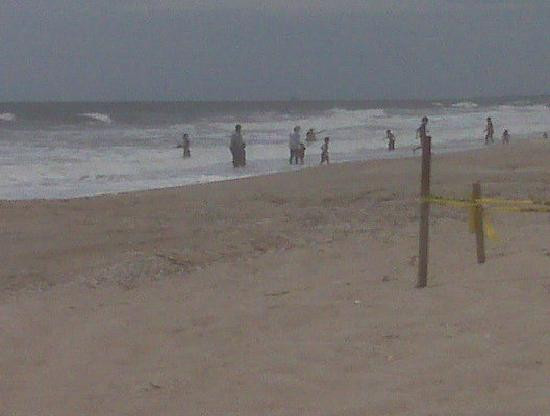 American Beach-阿米莉亚岛必去景点