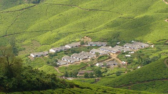 Kolukkumalai Tea Estate-Kottagudi必去景点