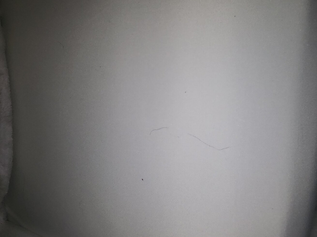 Quality Inn Encinitas Near Legoland主图