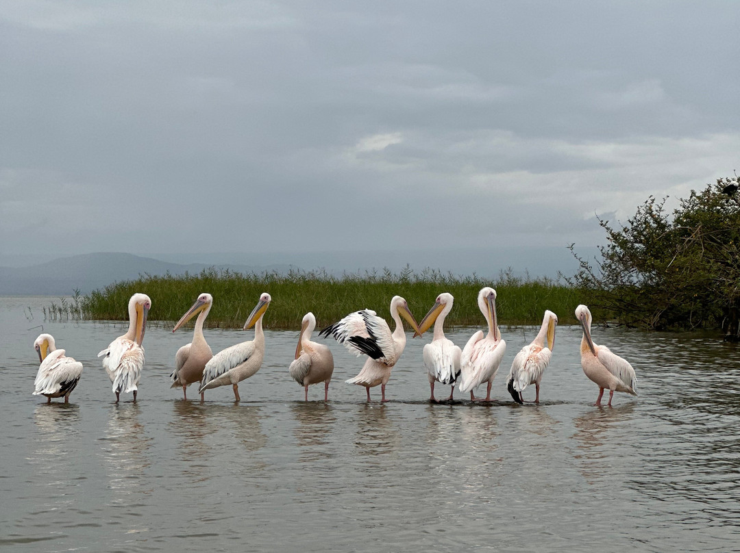 WALK IN ETHIOPIA TOUR AND TRAVEL-亚的斯亚贝巴必去景点
