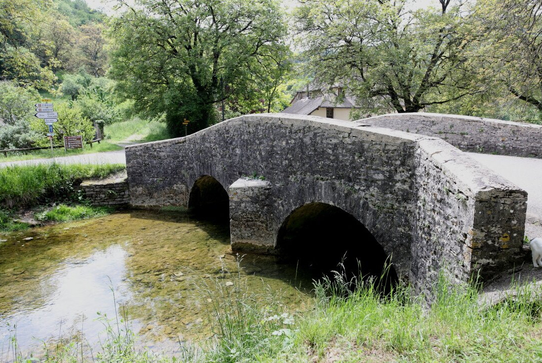 Vieux pont sur la Seille景点图片