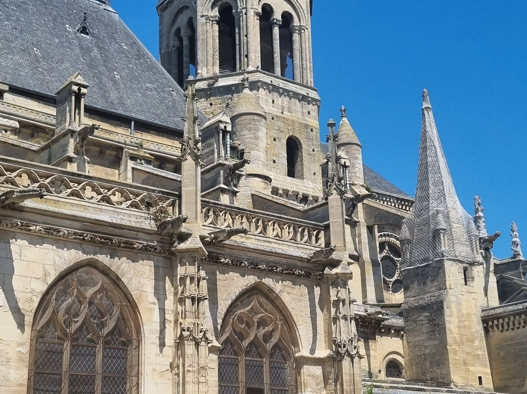 Collégiale Notre-Dame de Poissy景点图片