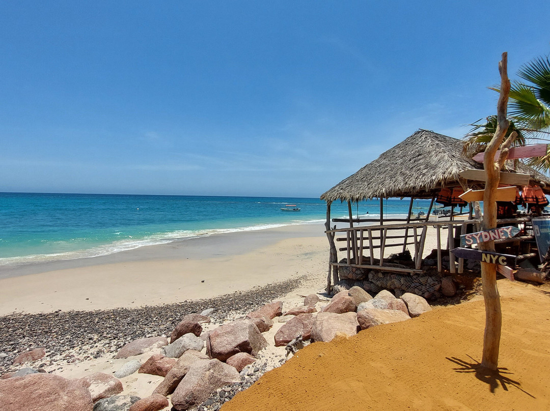 Cabo Pulmo Eco Adventures-Cabo Pulmo必去景点